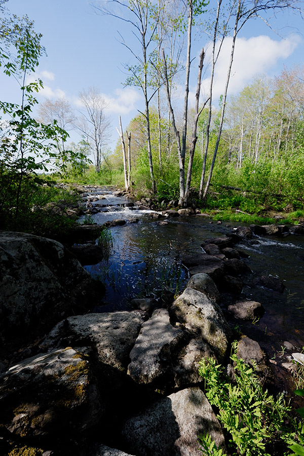 Fujifilm X-A5 Review: Field Test -- Gallery Image