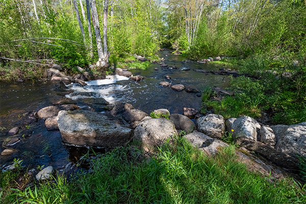 Fujifilm X-A5 Review: Field Test -- Gallery Image