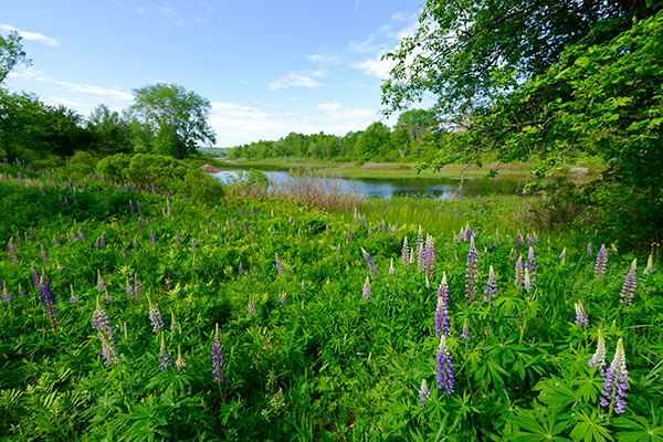 Fujifilm X-A5 Review: Field Test -- Gallery Image