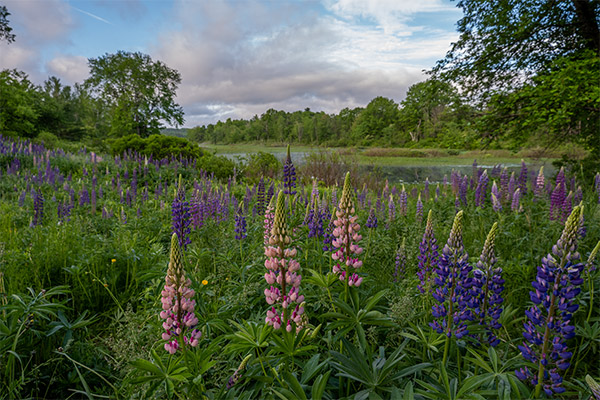 Fujifilm X-A5 Review: Field Test -- Gallery Image
