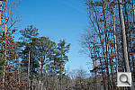 Click to see XE1PINE_ACRu250r03.JPG