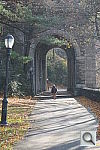 Click to see YDSCF1119.JPG