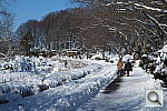 Click to see YDSCF2309.JPG