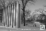Click to see YDSCF2438.JPG