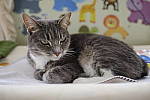 Click to see Y-DSF3371-ARTIFACTS.JPG