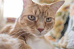 Click to see Y-DSF3381-SHADOWS-HIGHLIGHTS-ACR-MOD.JPG