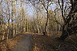 Click to see Y-DSF3397.JPG