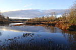 Click to see Y-DSF3427.JPG