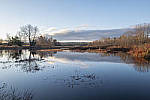 Click to see Y-DSF3431-HIGHLIGHTS-RAW-MOD.JPG