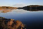 Click to see Y-DSF3491.JPG