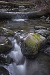 Click to see Y-DSF3632-MOD.JPG
