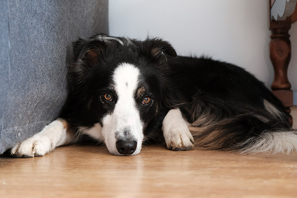 Fujifilm X-E3 Review: Field Test -- Gallery Image