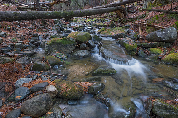 Fujifilm X-E3 Review: Field Test -- Gallery Image