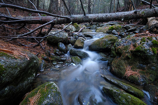 Fujifilm X-E3 Review: Field Test -- Gallery Image