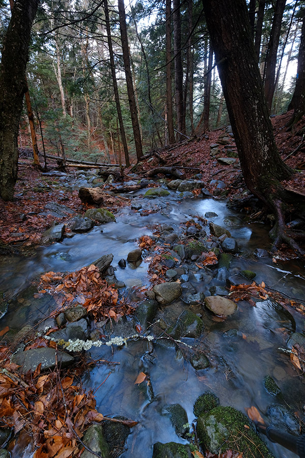 Fujifilm X-E3 Review: Field Test -- Gallery Image