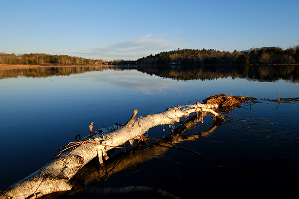 Fujifilm X-E3 Review: Field Test -- Gallery Image