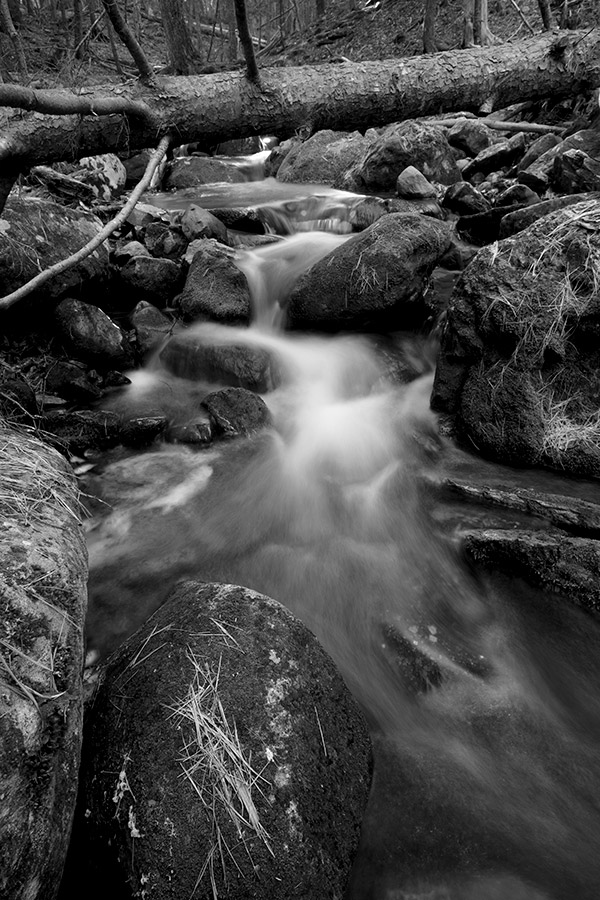 Fujifilm X-E3 Review: Field Test -- Gallery Image
