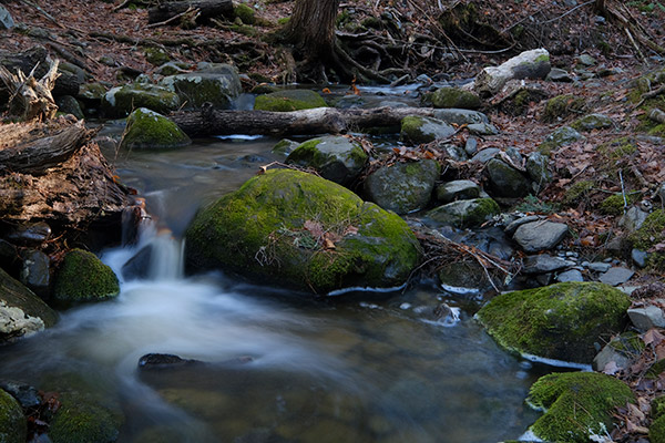 Fujifilm X-E3 Review: Field Test -- Gallery Image