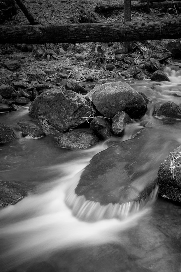 Fujifilm X-E3 Review: Field Test -- Gallery Image