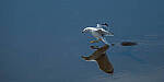 Click to see Y-JG-FUJI-X-E4-0218-MOD.JPG