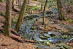 Click to see Y-JG-FUJI-X-E4-1150-MOD.JPG
