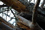 Click to see Y-JG-FUJI-X-E4-1297.JPG