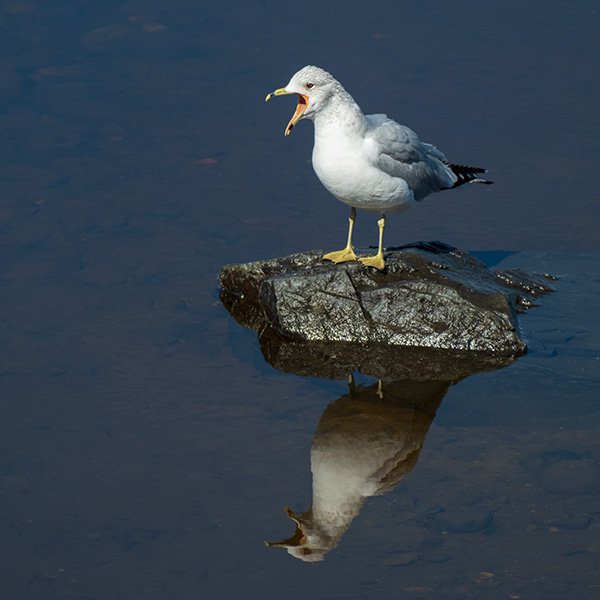 Fujifilm X-E4 Review: Field Test -- Gallery Image