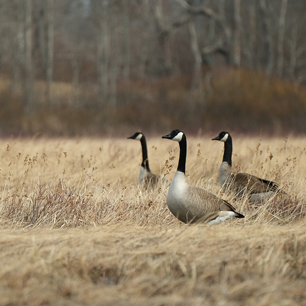Fujifilm X-E4 Review: Field Test -- Gallery Image