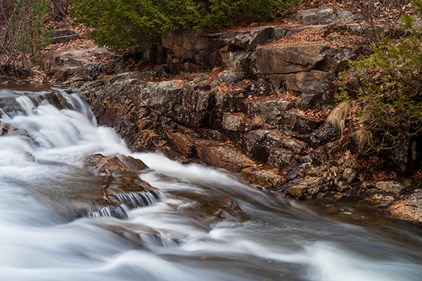 Fujifilm X-E4 Review: Field Test -- Gallery Image