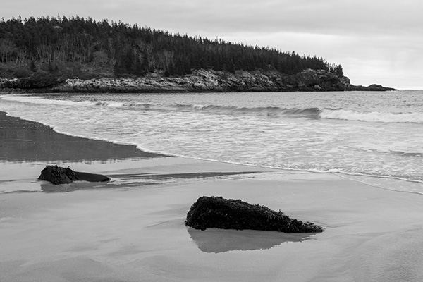 Fujifilm X-E4 Review: Field Test -- Gallery Image
