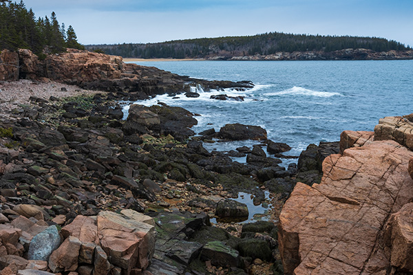 Fujifilm X-E4 Review: Field Test -- Gallery Image