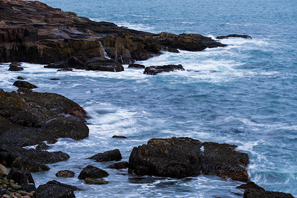 Fujifilm X-E4 Review: Field Test -- Gallery Image