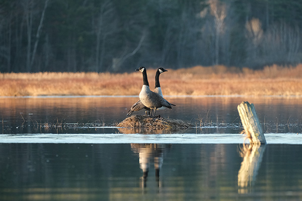 Fujifilm X-E4 Review: Field Test -- Gallery Image