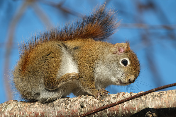 Fujifilm X-E4 Review: Field Test -- Gallery Image