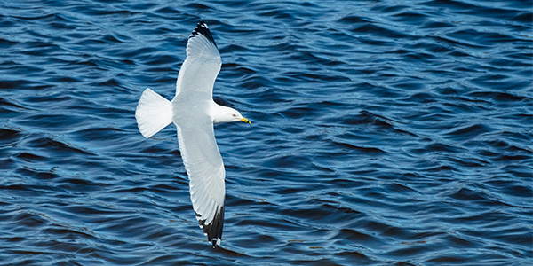 Fujifilm X-E4 Review: Field Test -- Gallery Image