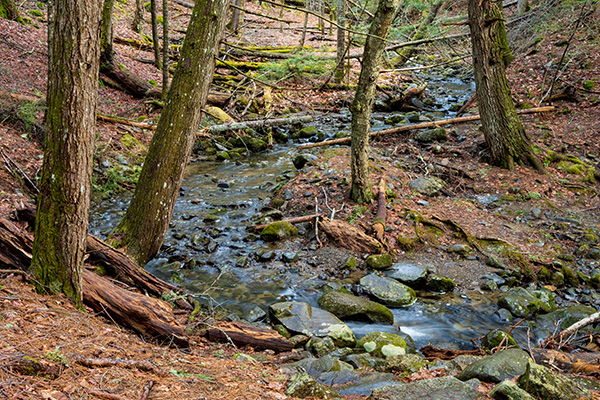 Fujifilm X-E4 Review: Field Test -- Gallery Image
