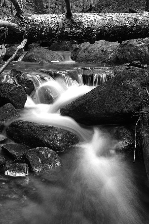 Fujifilm X-E4 Review: Field Test -- Gallery Image