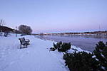 Click to see YDSF4240.JPG