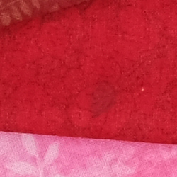 100% crop from Fujifilm X-H1 test image taken at ISO 200