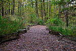 Click to see Y-WB-XF30Macro-DSCF2377.JPG