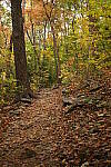Click to see Y-WB-XF30Macro-DSCF2543.JPG