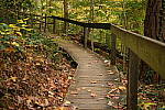 Click to see Y-WB-XF30Macro-DSCF2587.JPG