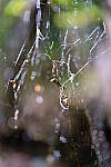 Click to see Y-WB-XH2-FINAL-DSCF0010.JPG
