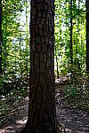 Click to see Y-WB-XH2-FINAL-DSCF0012.JPG