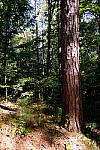 Click to see Y-WB-XH2-FINAL-DSCF0038.JPG
