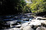 Click to see Y-WB-XH2-FINAL-DSCF0086.JPG