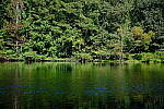 Click to see Y-WB-XH2-FINAL-DSCF0159.JPG