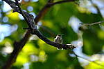 Click to see Y-WB-XH2-FINAL-DSCF1567.JPG