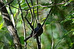 Click to see Y-WB-XH2-FINAL-DSCF1964.JPG