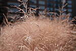 Click to see Y-WB-XH2-FINAL-DSCF2072.JPG